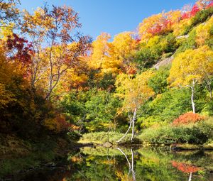 Preview wallpaper trees, forest, lake, reflection, autumn, landscape