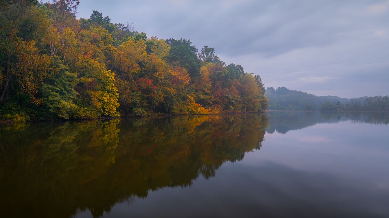 Wallpaper trees, forest, lake, fog, autumn, nature