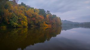 Preview wallpaper trees, forest, lake, fog, autumn, nature