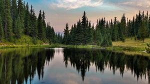 Preview wallpaper trees, forest, lake, reflection, nature