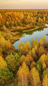 Preview wallpaper trees, forest, lake, autumn, landscape, aerial view