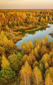 Preview wallpaper trees, forest, lake, autumn, landscape, aerial view