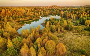 Preview wallpaper trees, forest, lake, autumn, landscape, aerial view