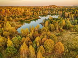 Preview wallpaper trees, forest, lake, autumn, landscape, aerial view