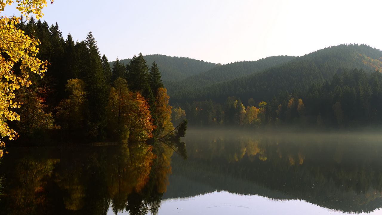 Wallpaper trees, forest, lake, reflection, landscape