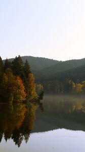 Preview wallpaper trees, forest, lake, reflection, landscape