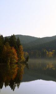 Preview wallpaper trees, forest, lake, reflection, landscape