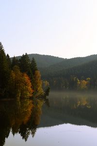 Preview wallpaper trees, forest, lake, reflection, landscape