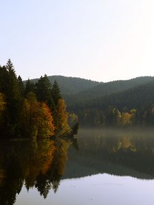 Preview wallpaper trees, forest, lake, reflection, landscape