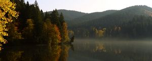 Preview wallpaper trees, forest, lake, reflection, landscape