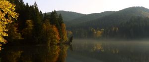 Preview wallpaper trees, forest, lake, reflection, landscape