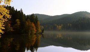 Preview wallpaper trees, forest, lake, reflection, landscape