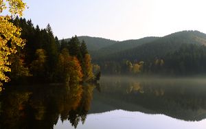 Preview wallpaper trees, forest, lake, reflection, landscape