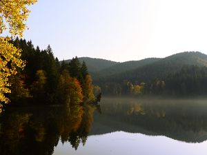 Preview wallpaper trees, forest, lake, reflection, landscape