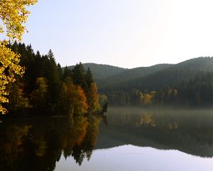 Preview wallpaper trees, forest, lake, reflection, landscape