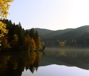 Preview wallpaper trees, forest, lake, reflection, landscape
