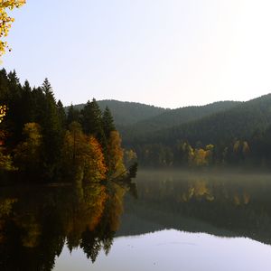 Preview wallpaper trees, forest, lake, reflection, landscape