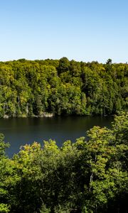 Preview wallpaper trees, forest, landscape, river, nature