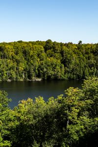 Preview wallpaper trees, forest, landscape, river, nature