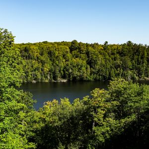 Preview wallpaper trees, forest, landscape, river, nature