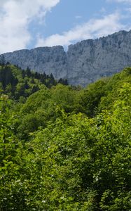 Preview wallpaper trees, forest, leaves, rock, landscape