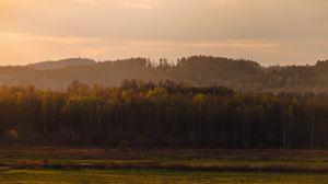Preview wallpaper trees, forest, meadow, grass, landscape