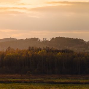 Preview wallpaper trees, forest, meadow, grass, landscape