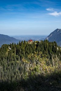 Preview wallpaper trees, forest, mountains, house, nature, sky