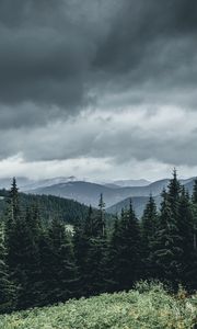 Preview wallpaper trees, forest, mountains, sky, grass