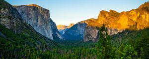 Preview wallpaper trees, forest, mountains, rocks, landscape