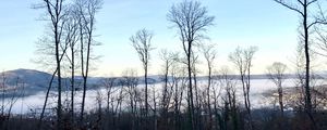 Preview wallpaper trees, forest, mountains, fog, clouds, nature
