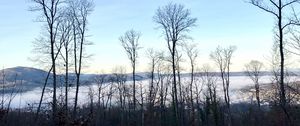 Preview wallpaper trees, forest, mountains, fog, clouds, nature