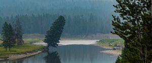 Preview wallpaper trees, forest, mountains, lake, fog, nature