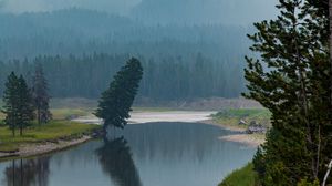 Preview wallpaper trees, forest, mountains, lake, fog, nature