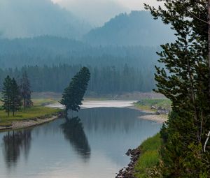 Preview wallpaper trees, forest, mountains, lake, fog, nature