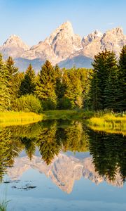 Preview wallpaper trees, forest, mountains, pond, reflection, landscape, nature