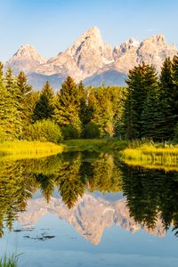 Preview wallpaper trees, forest, mountains, pond, reflection, landscape, nature
