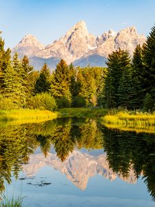 Preview wallpaper trees, forest, mountains, pond, reflection, landscape, nature