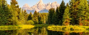 Preview wallpaper trees, forest, mountains, pond, reflection, landscape, nature