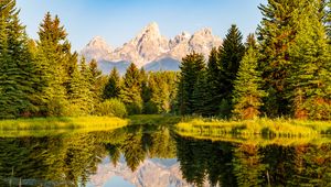 Preview wallpaper trees, forest, mountains, pond, reflection, landscape, nature