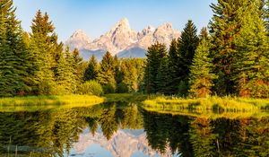 Preview wallpaper trees, forest, mountains, pond, reflection, landscape, nature