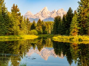 Preview wallpaper trees, forest, mountains, pond, reflection, landscape, nature