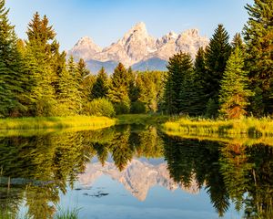 Preview wallpaper trees, forest, mountains, pond, reflection, landscape, nature