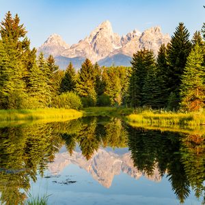 Preview wallpaper trees, forest, mountains, pond, reflection, landscape, nature