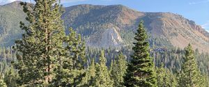 Preview wallpaper trees, forest, mountains, view, landscape