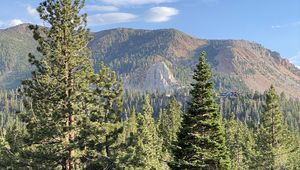 Preview wallpaper trees, forest, mountains, view, landscape