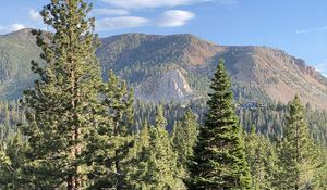 Preview wallpaper trees, forest, mountains, view, landscape