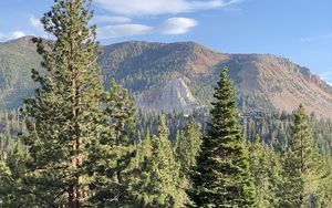 Preview wallpaper trees, forest, mountains, view, landscape