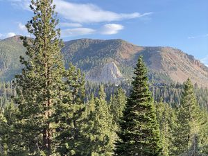 Preview wallpaper trees, forest, mountains, view, landscape