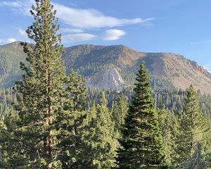 Preview wallpaper trees, forest, mountains, view, landscape